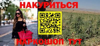 СК Канаш