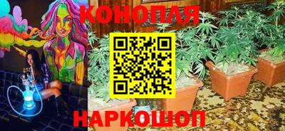 мяу мяу мука Абакан