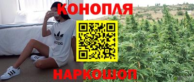 прущие крисы Камышлов