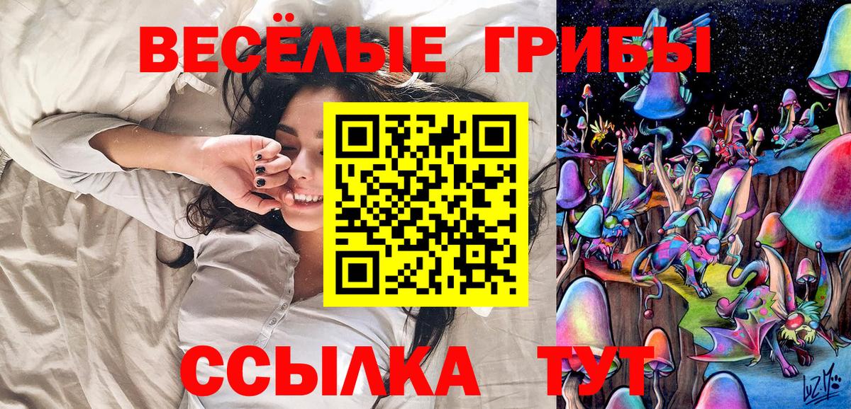 Чапаевск  Псилоцибиновые грибы Psilocybine cubensis  Вход с VPN 