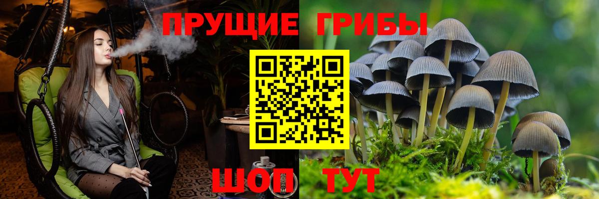 Псилоцибиновые грибы мицелий  Чапаевск 